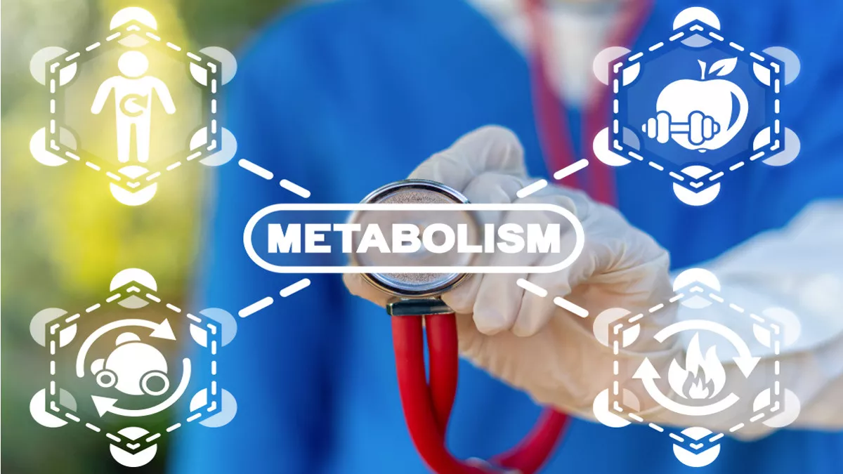 Zat apa yang Membantu Meningkatkan Metabolisme