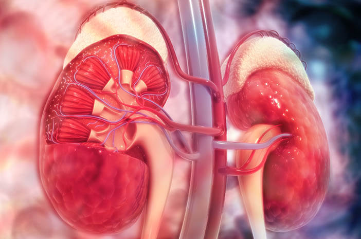 Insufisiensi Ginjal Akut